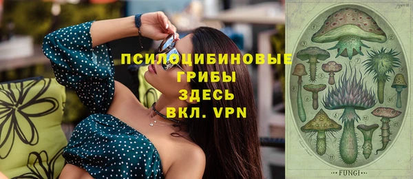 первитин Балахна