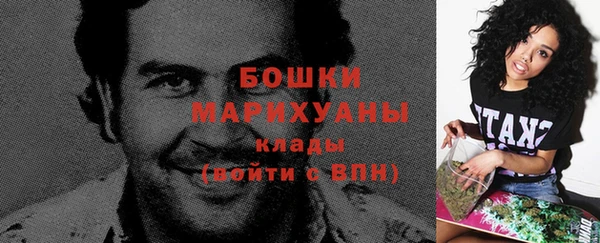 спайс Покачи