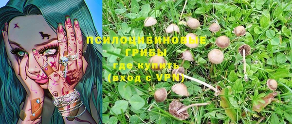 первитин Балахна
