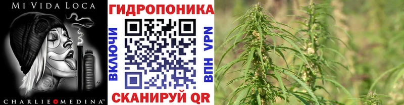 Канабис семена  ОМГ ОМГ сайт  Бикин 